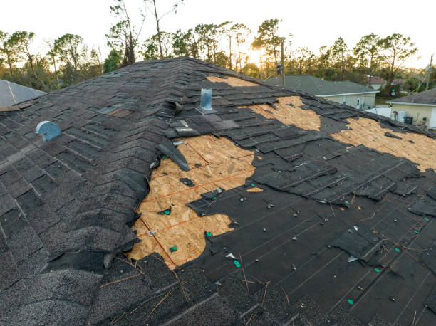 Best Roof Moss and Algae Removal  in San Fernando, CA