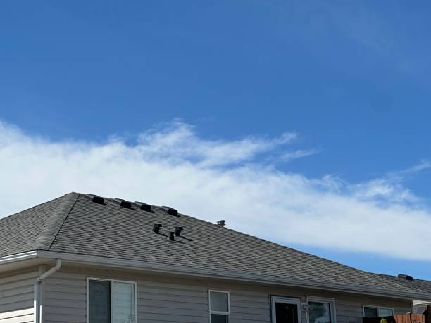 Best Hot Roofs  in San Fernando, CA